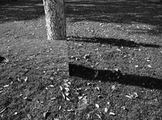 8_untitled