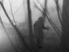 Fog_2