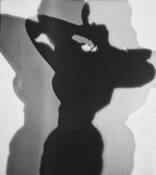 Shadow_play_2