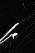 Harp_player