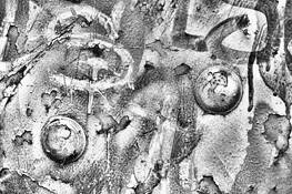 Untitled_7