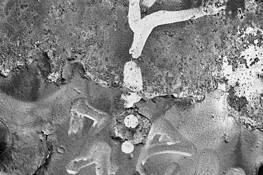 Untitled_9