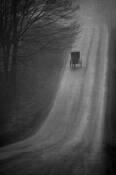 Untitled_8