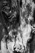 Untitled_2