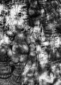 Untitled_3