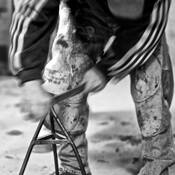 Farrier_1