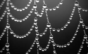 Web