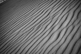 Dune_study_2