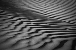 Dune_study_3