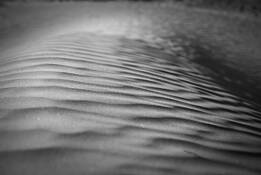 Dune_study_4