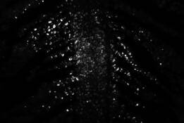 Series_spirit___matter__i_neri