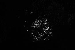 Series_spirit___matter_asteroid_belt__1