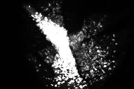 Series_spirit___matter__i_neri