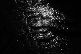 Series_spirit___matter__i_neri