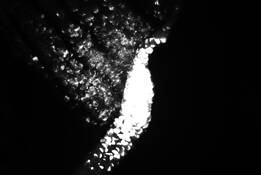 Series_spirit___matter__i_neri
