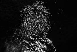 Series_spirit___matter__synaptic_energy__1
