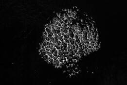 Series_spirit___matter__synaptic_energy__2