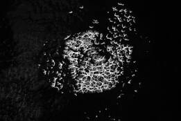 Series_spirit___matter__synaptic_energy__3