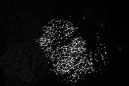 Series_spirit___matter__synaptic_energy__6