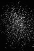 Series_spirit___matter_night___day