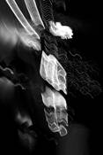 Crab_nebulae