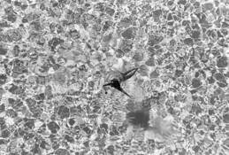 Swimmer