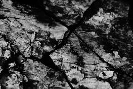 Crack_d