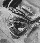 Untitled_4