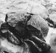 Untitled_6