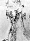 Untitled_9