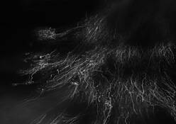 Water_signature__53