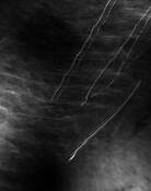 Water_signature__89