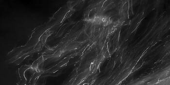 Water_signature__9948
