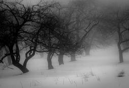 Cooper_lake__5