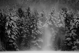 Cooper_lake__7