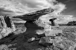Stud_horse_point_1