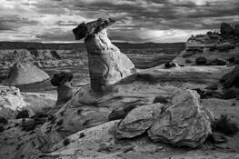 Stud_horse_point_3