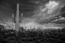 Sunset_scottsdale