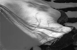 Reaching_shadow