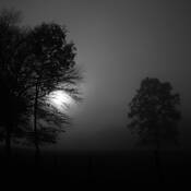 Misty_morning_sunrise