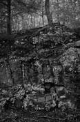 The_wall