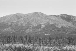 Denali_mountain_range_1