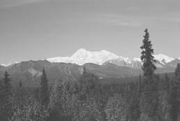 Denali_national_park_2