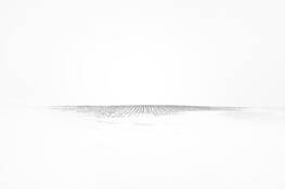 Field_rows