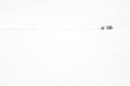 Hilltop_fenceline