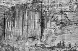 The_streaked_wall