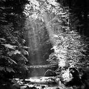 Le_boiron_near_lully