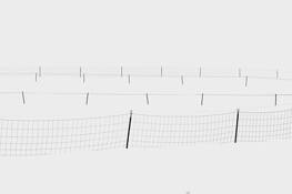 4-fenceline