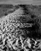 To_the_beach_1