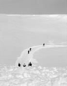 Skiers